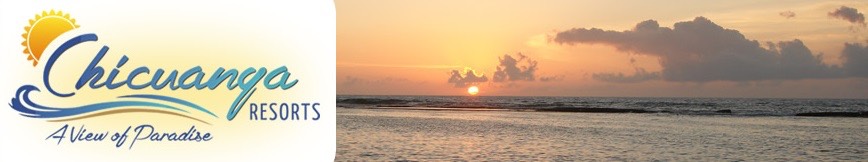 Paradise view banner